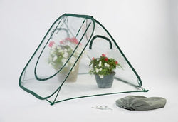 Flowerhouse 3' x 4' x 4' Seed House Clear