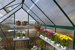 Palram Mythos 6' Wide Greenhouses