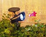 Solar Spot Light (2 lights included)