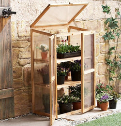 Mini Greenhouse Kit for Indoors or Outdoors