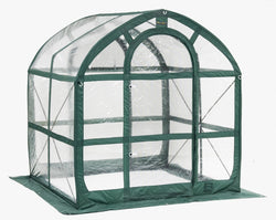 Flowerhouse 6' x 6' x 6.5' SpringHouse Clear