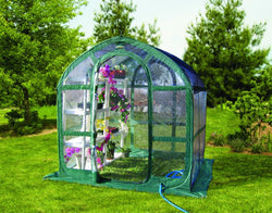 Flowerhouse 6' x 6' x 6.5' SpringHouse Clear