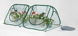 Flowerhouse 3' x 8' x 4' StarterHouse Clear