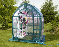 Flowerhouse 5' x 5' x 6.5' PlantHouse 5, Clear